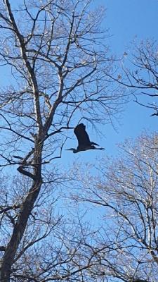 Прикрепленное изображение: 2.jpg